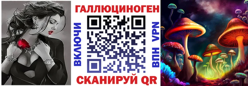 цена Норильск Псилоцибиновые грибы Psilocybe