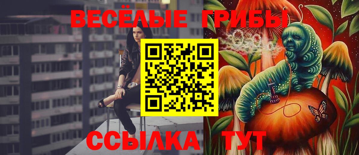 Галлюциногенные грибы прущие грибы Норильск